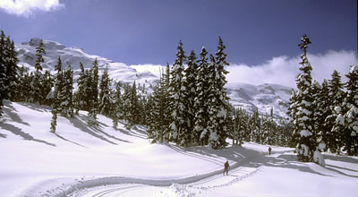 XC Skiing upper Callaghan trails